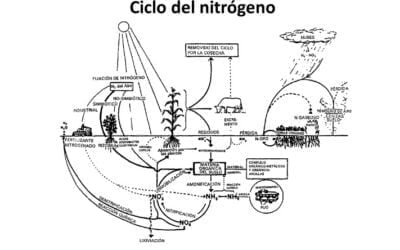 Ante la suba de los fertilizantes, ¿cómo podemos producir más cuidando el suelo?