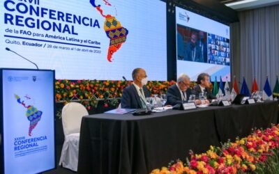 FAO expresó su preocupación por la suba de alimentos y de fertilizantes.