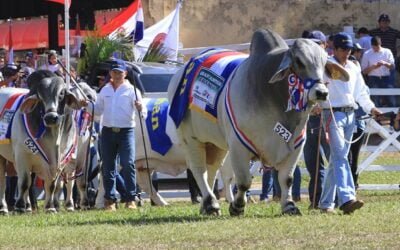Paraguay propone un Sello Verde para promover la producción sostenible.