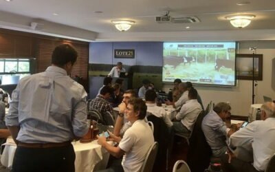 Desde hoy Lote 21 rematará a las 09.00 horas.