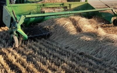 Tenemos el área más grande pasturas de la historia.