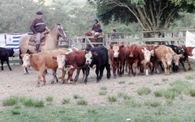 En una pista movida, Manuel F. Porta remató en La Querencia.
