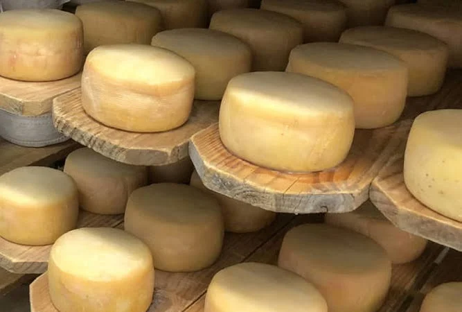 El queso gana protagonismo y se consolida como motor del comercio mundial de lácteos