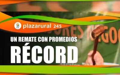 “Plaza Rural superó a Plaza Rural”.