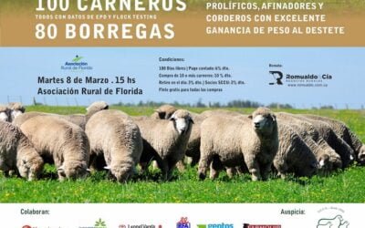 Hoy Romualdo rematan cabañas Refugio y Rancho Blanco.