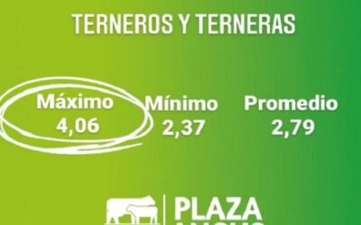 Plaza Rural con Plaza Angus: los terneros superaron los cuatro dólares