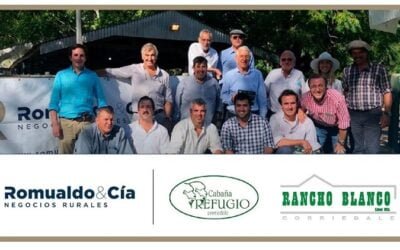 Ventas totales de Romualdo en la alianza genética Corriedale.