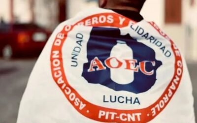 Publican video que muestra la leche perdida por la decisión del sindicato.