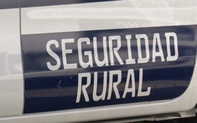 Ministerio del Interior informó sobe caída de los delitos.