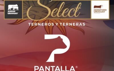 Hoy Pantalla Uruguay realzará el primer remate Select.