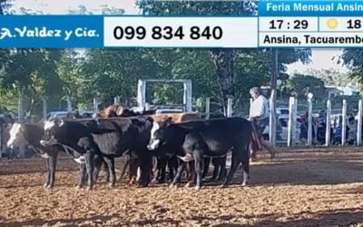 Valdez inició abril rematando muy buena oferta en Ansina.