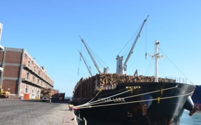 ANP: Los puertos de Uruguay “a todo agro”.