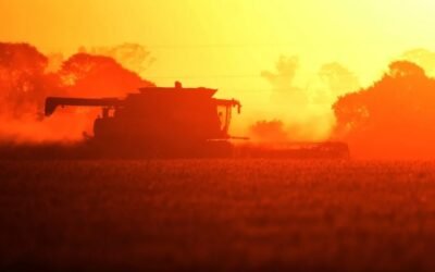 En Argentina, la cosecha de soja y maíz están en riesgo por la falta de gasoil.