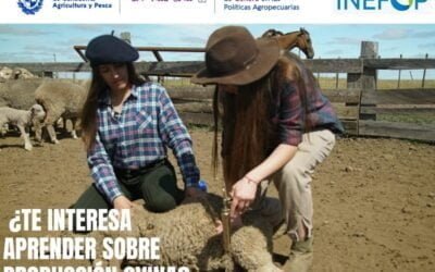 El 18 de abril cierran inscripciones para mujeres rurales interesadas en cría y manejo de ovinos.