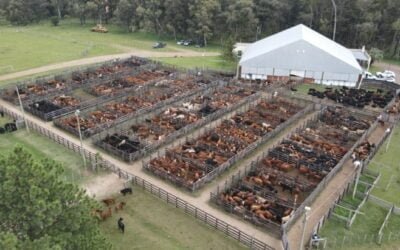 Los remates de marzo de Valdez & Cía.