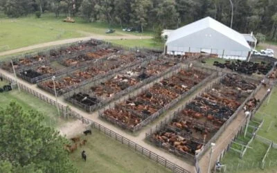 Los remates de marzo de Valdez & Cía.