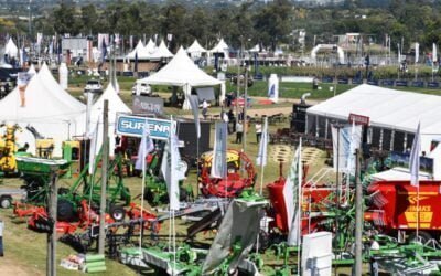 Cumpliendo todas las expectativas finalizó Expo Melilla 2022.