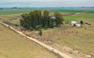 En mayo se realizarán las jornadas de otoño del Proyecto Ganadería y Clima.