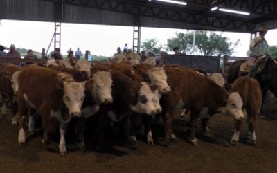 Ricardo Bachino Grosso tuvo una feria dinámica y de muy buenos precios en Ortiz.
