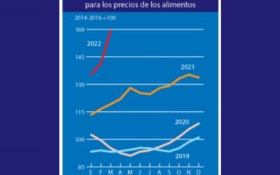 FAO también tuvo un “salto gigante” en el precio de los alimentos.