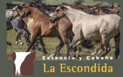 Zambrano remató los Criollos de La Escondida.