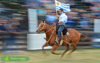 Terminadas las jineteadas 2022, es hora de debatir en serio.