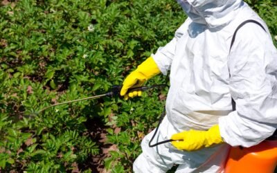 Prohibición de venta de fitosanitarios a comercios minoristas que carezcan de RUO.