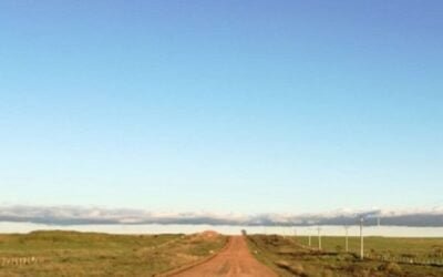 Desde el 25 de abril se realizará prueba piloto del censo agropecuario.