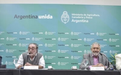 Argentina registró 54,4 millones de cabezas de vacunos.