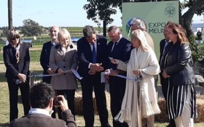 Valdez: Los productores deben “dinamizar y mantener la economía”.