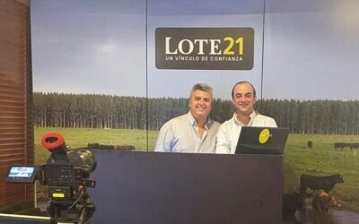 Todas las categorías con firmeza en Lote 21.