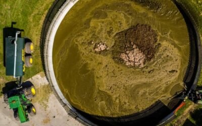 Los suministros de estiércol se agotan a medida que los precios de los fertilizantes se disparan.