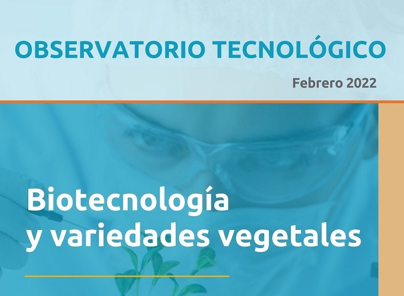 Fue lanzado nuevo informe sobre biotecnología y variedades vegetales.