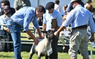 Se realizó la Primera Nacional de Suffolk.