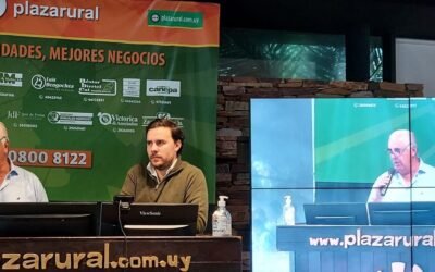 Hoy Plaza Rural con Plaza Braford cierra el remate 247