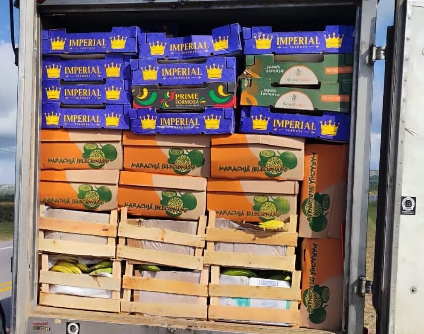 Policía Caminera incautó frutas y verduras en presunta infracción aduanera.