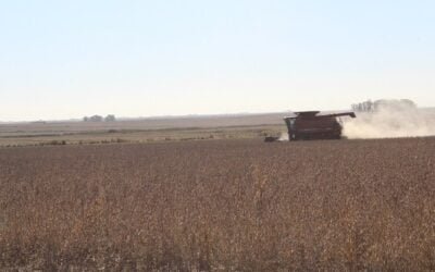 Las últimas lluvias dificultaron las cosechas.