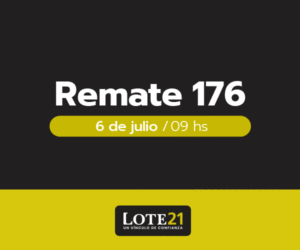 lote 21