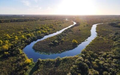 Autoridades nacionales e integrantes de la embajada de EE.UU. visitaron área protegida de UPM en Río Negro.