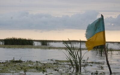 Cae la economía mundial a causa de la guerra en Ucrania.