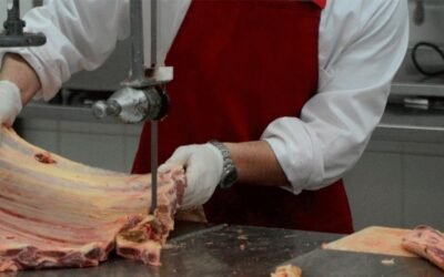 INAC reitera advertencia sobre intentos de estafa a carnicerías.