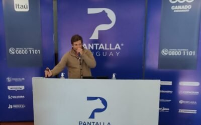 Pantalla Uruguay remató más de 5.600 vacunos.