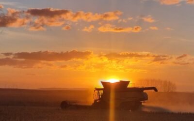 Devolución de IVA a productores agropecuarios en compras de gasoil.