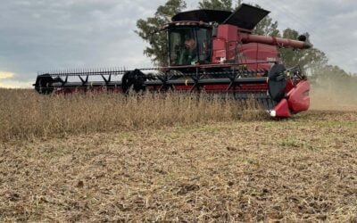 Panorama alentador en el cierre de cosecha y avances en la siembra de invierno.