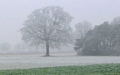Hoy y mañana continúan los fríos intensos.