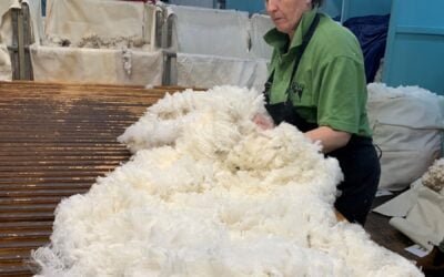 La lana bajó en Australia a US$ 8,60 (-0,5%).