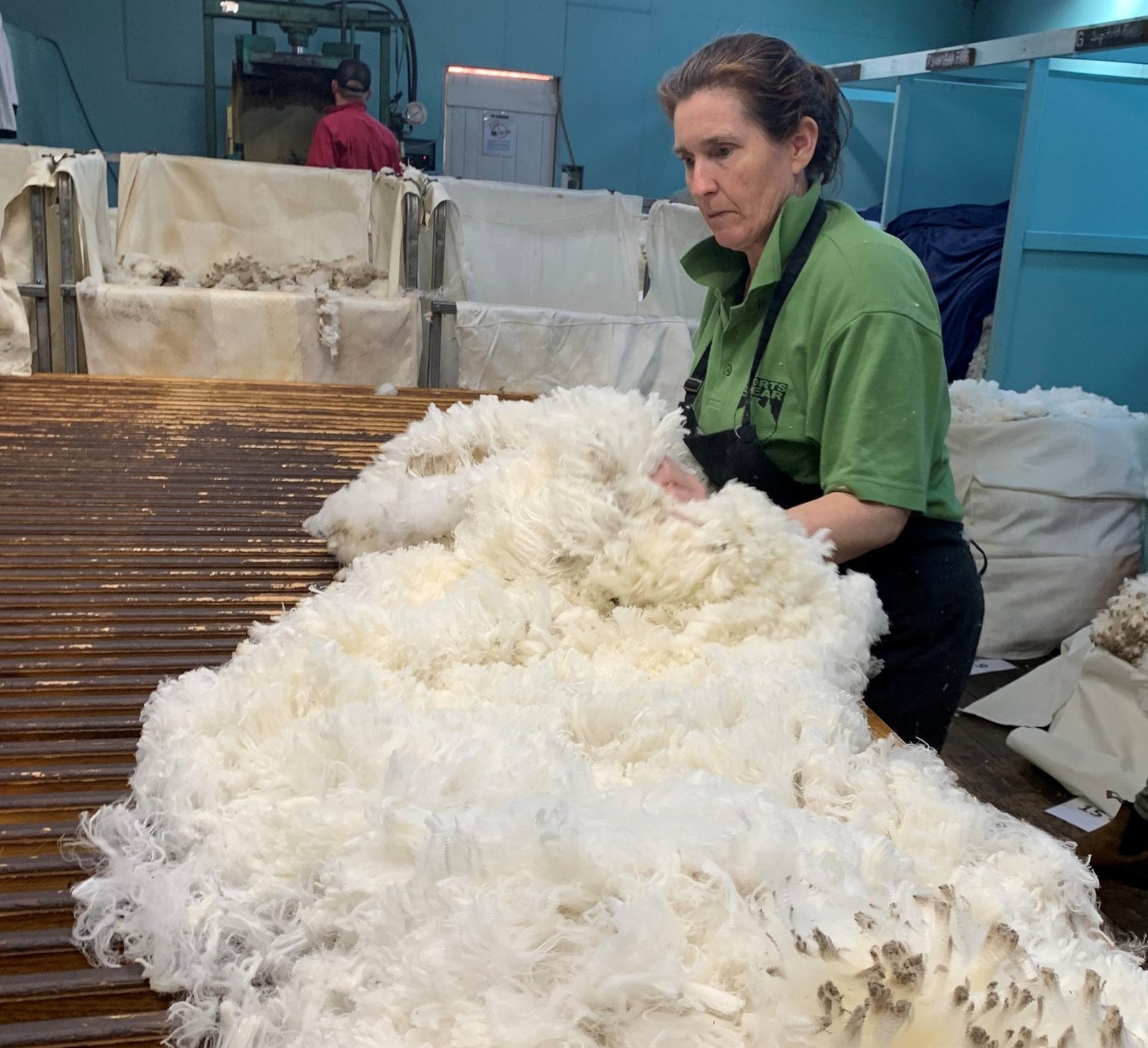 Bajó la lana en Australia: Se debilitaron los precios de todos los tipos y diámetros.
