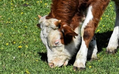 La demanda propuso menor valor, que la oferta rechazó.