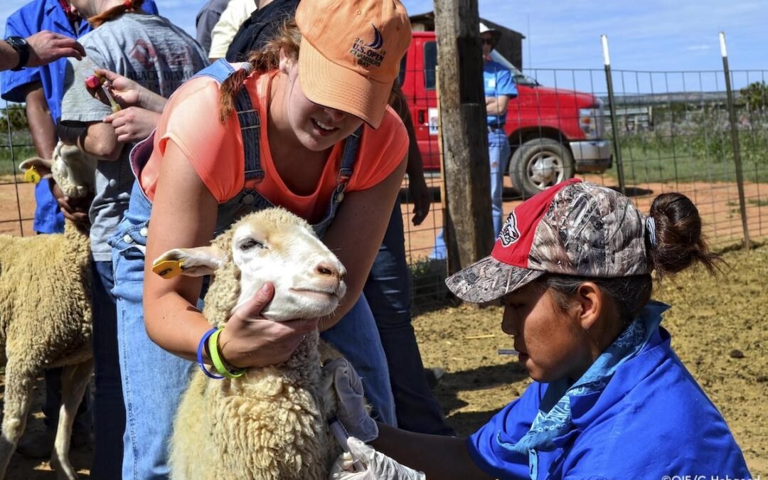 OIE: Liderando el camino hacia la resiliencia en el sector de la sanidad animal.