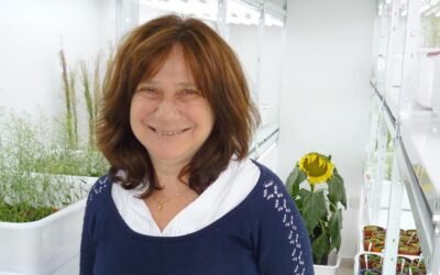 Destacada científica: “Nada de lo que comemos es natural”.